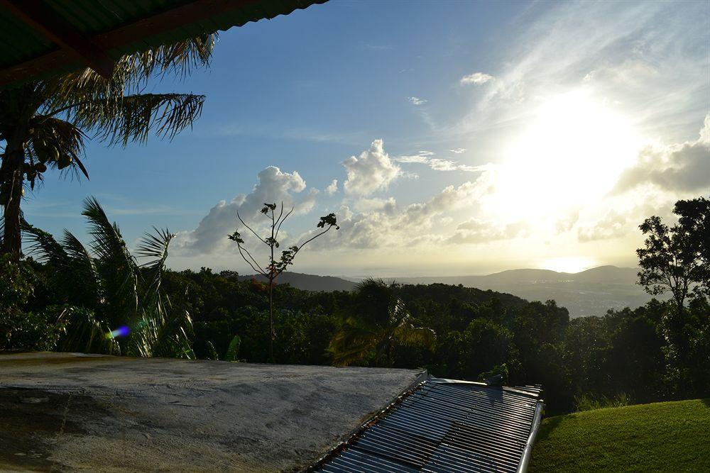 El Hotelito At The Rainforest Experience Farm Фахардо Екстериор снимка