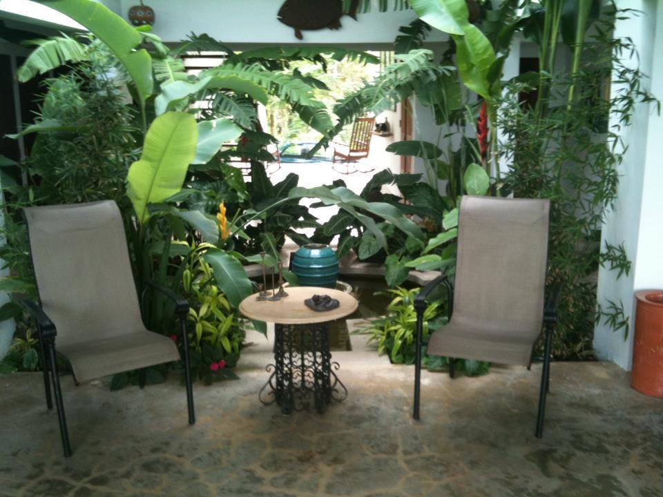 El Hotelito At The Rainforest Experience Farm Фахардо Екстериор снимка
