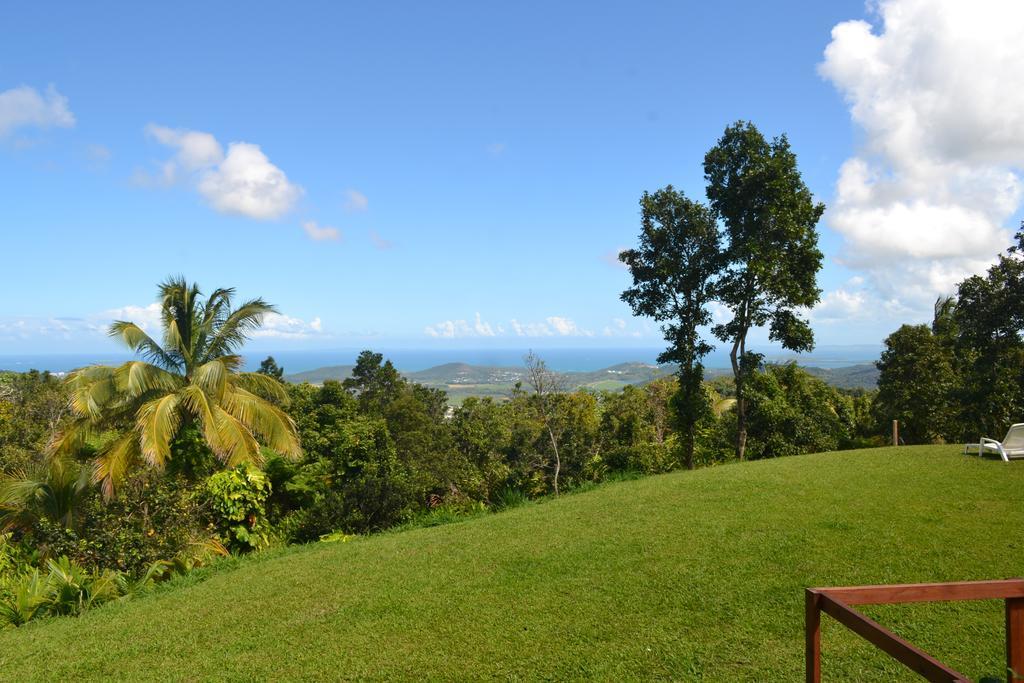 El Hotelito At The Rainforest Experience Farm Фахардо Екстериор снимка