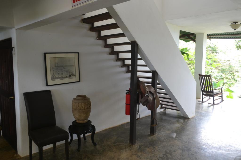El Hotelito At The Rainforest Experience Farm Фахардо Екстериор снимка