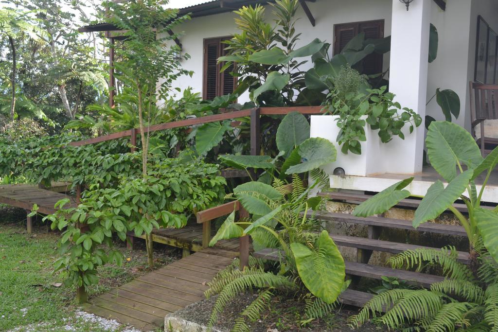 El Hotelito At The Rainforest Experience Farm Фахардо Екстериор снимка