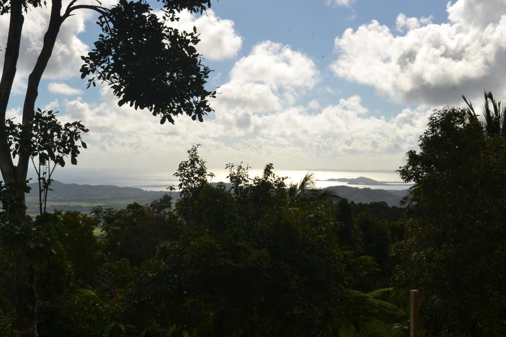 El Hotelito At The Rainforest Experience Farm Фахардо Екстериор снимка