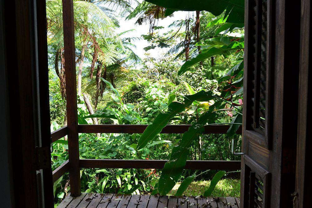 El Hotelito At The Rainforest Experience Farm Фахардо Екстериор снимка