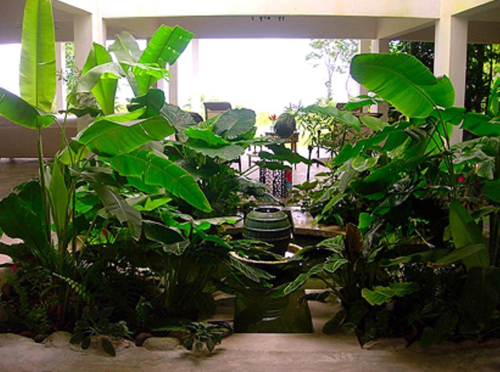El Hotelito At The Rainforest Experience Farm Фахардо Екстериор снимка