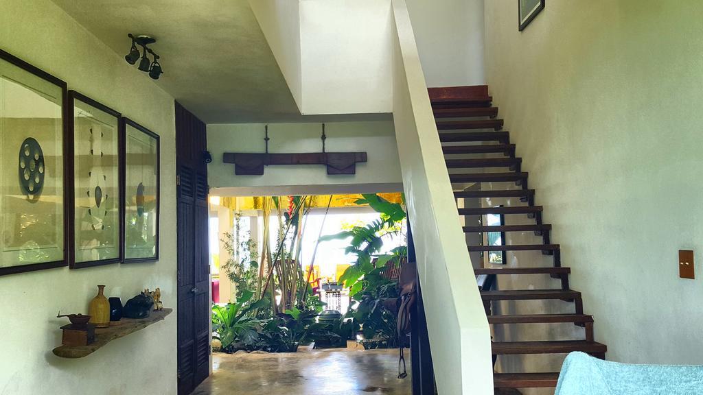 El Hotelito At The Rainforest Experience Farm Фахардо Екстериор снимка