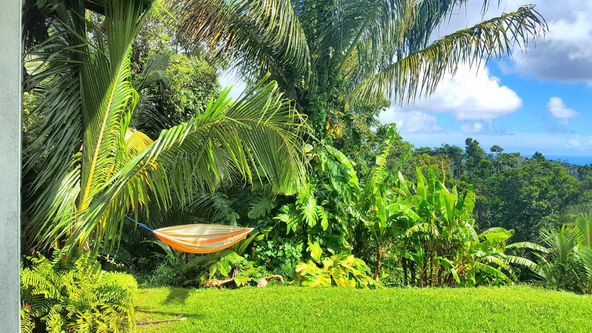 El Hotelito At The Rainforest Experience Farm Фахардо Екстериор снимка