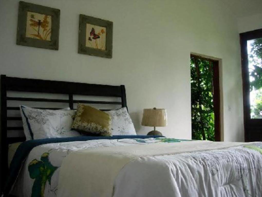 El Hotelito At The Rainforest Experience Farm Фахардо Екстериор снимка